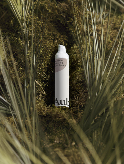 Ceramide Hydrating Night Cream - aube